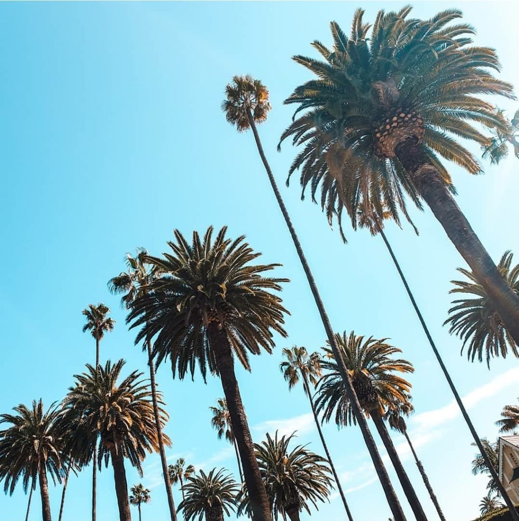 Beverly Hills - Los Angeles - Travel with Solenep