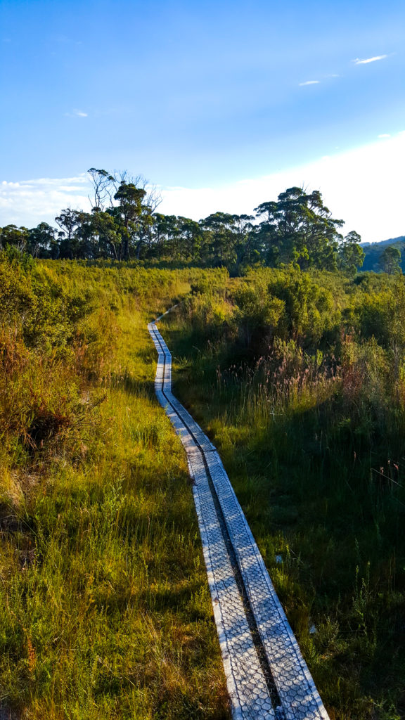 Australie Sud Est - Tasmanie - Travel with Solenep