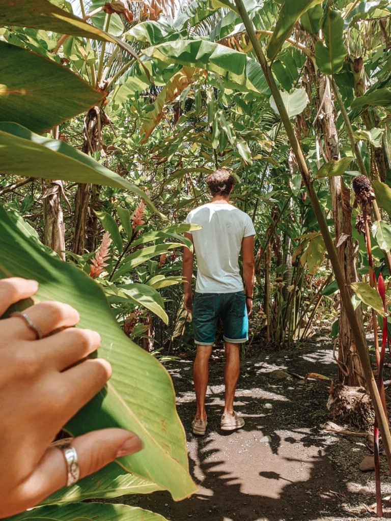 Life Trip : Ile de la Réunion - Nos randonnées