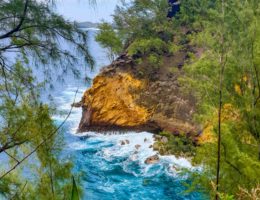 Life Trip Ile de la Réunion Randonnées Sud - Travel with SoleneP