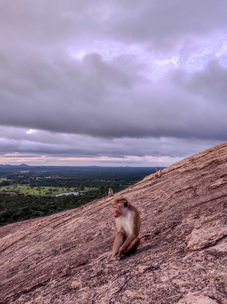 Life Trip Sri Lanka - Travel with SoleneP